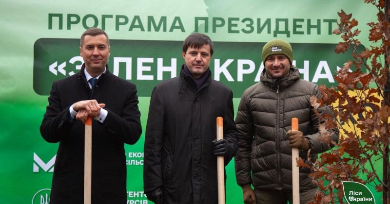 600 тисяч дерев щодня: 