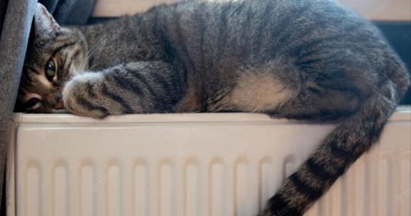 В Україні вже 96% житлових будинків отримали підключення до системи опалення, повідомляє Міністерство розвитку громад.