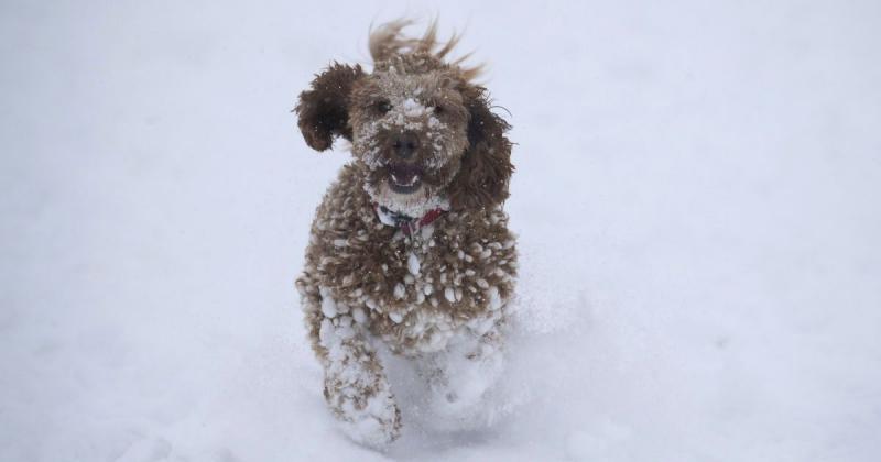 На Україну насуваються складні погодні умови: у яких областях очікуються снігопади та хуртовини.