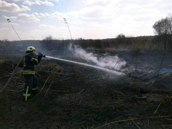 Столичні вогнеборці ліквідували загоряння торфу