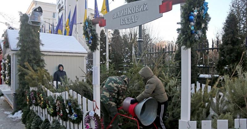 Ціна на новорічні ялинки: де в Україні можна знайти найдорожчі та найдешевші варіанти деревцят.