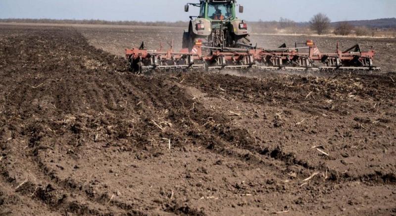 Ціни на земельні ділянки в Україні демонструють зростання: які регіони мають найвищу вартість гектарів?