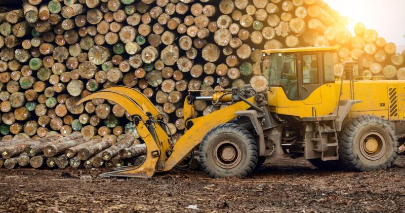 Укриття, підпори та бункери: столичне відділення 