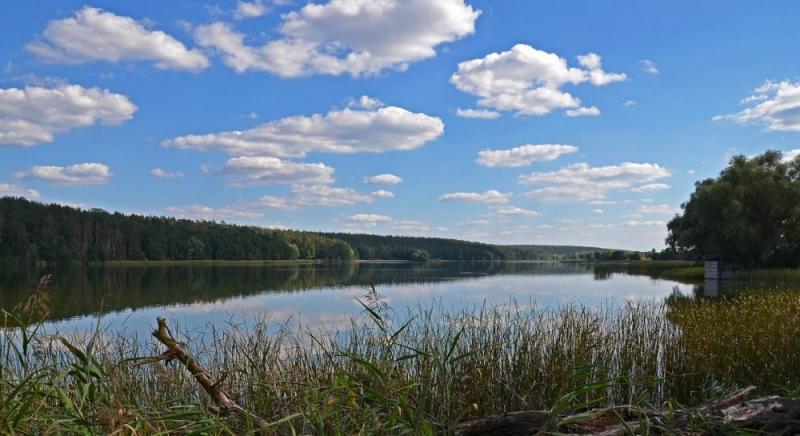 Соснові гаї, піщані узбережжя та небагато відвідувачів: як потрапити до села Бобриця, що під Києвом.
