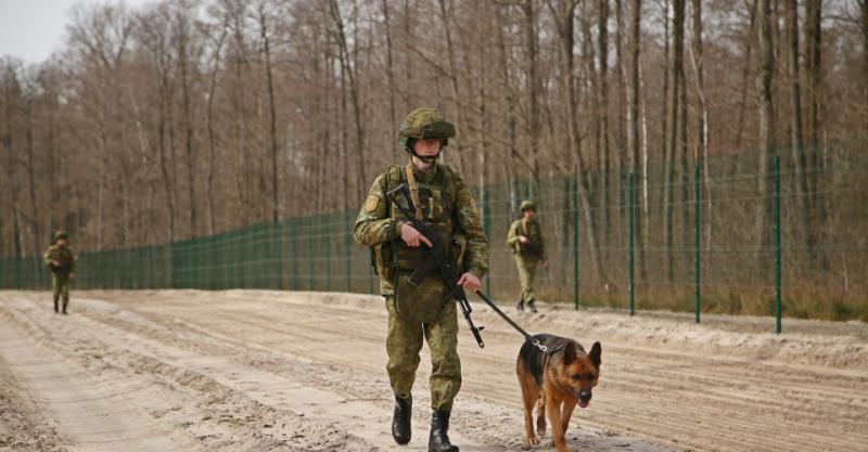 Слідство.Інфо повідомляє, що цього року 911 військовозобов'язаних намагалися покинути країну в напрямку Білорусі.