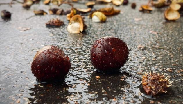 Сьогодні в Україні практично повсюдно йдуть дощі.