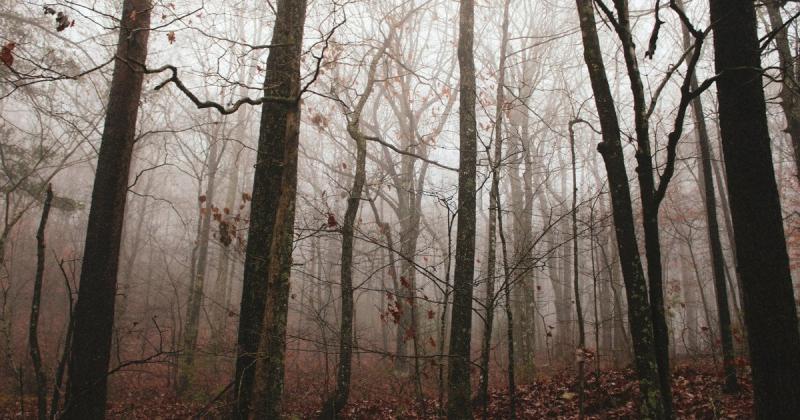 Прогноз погоди на 3 листопада: синоптики представили нові дані.