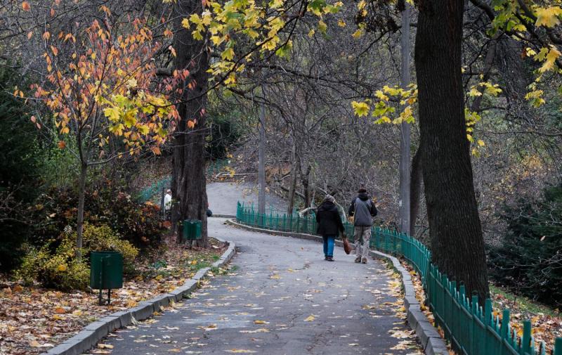 На Україну насуваються хмари та дощі: синоптичний прогноз на 13 листопада.