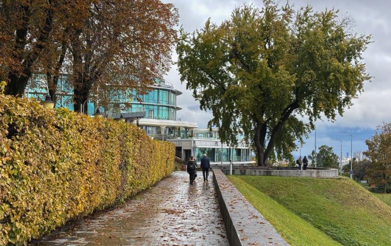 Дощі, волога снігова покривка та тумани: якою буде погода 16 листопада.