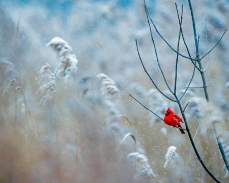 Метеорологи оновили прогнози на перші дні тижня.