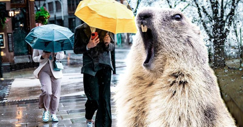 Прогноз погоди в Україні: де очікуються дощі та сніг 24 листопада.