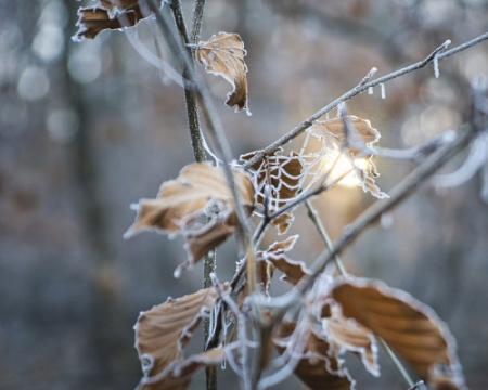 Метеорологи не порадували своїм прогнозом на вівторок.