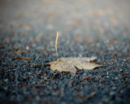 Метеорологи оновили прогноз погоди на середу.