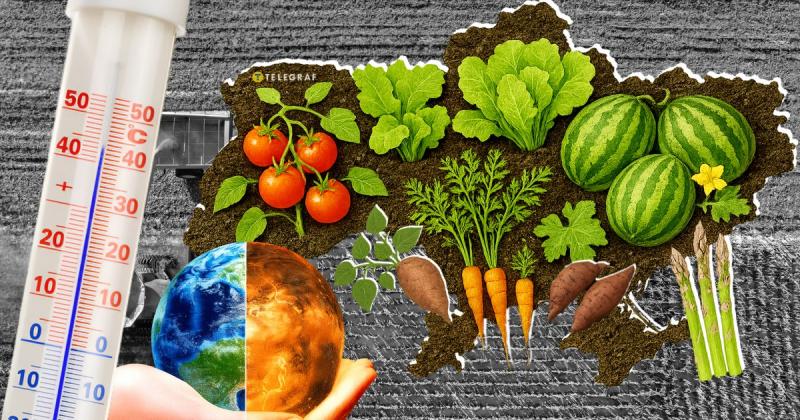 В Україні існує перспектива вирощування бананів, тоді як ситуація з цибулею викликає певні труднощі.