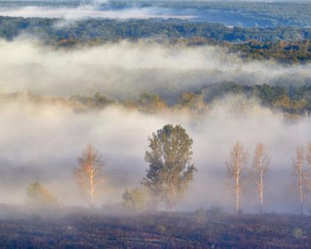 Туман та заморожені температури: прогнози синоптиків на 21 грудня