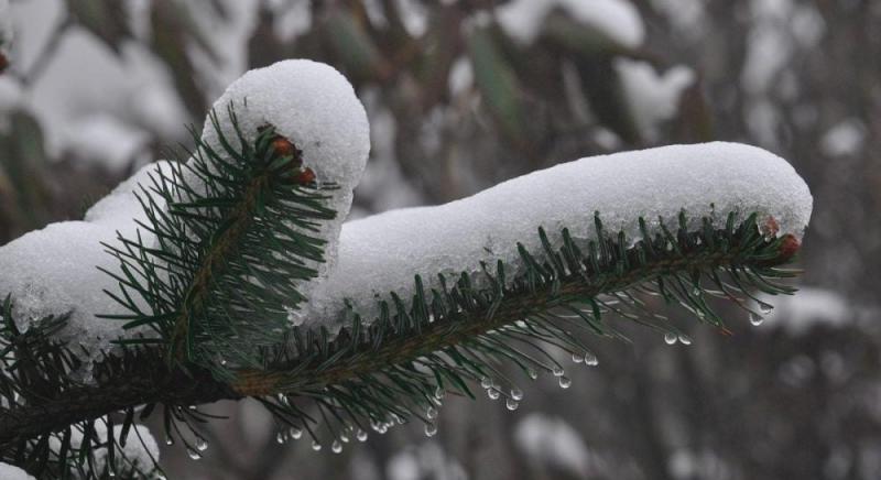 11 лютого в Україні очікується підвищення температури, проте існують деякі особливості, зазначає синоптикиня Діденко.