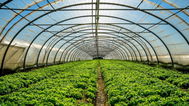 34 мільйони гривень 