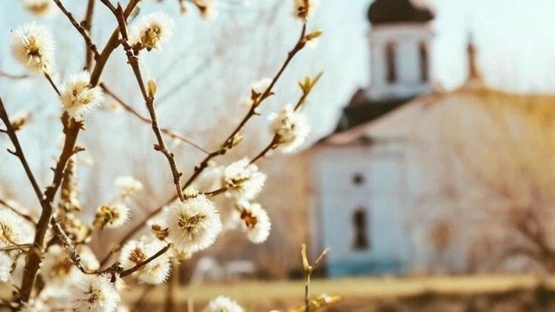 Мовний омбудсмен: Виявити порушення мовних норм у 