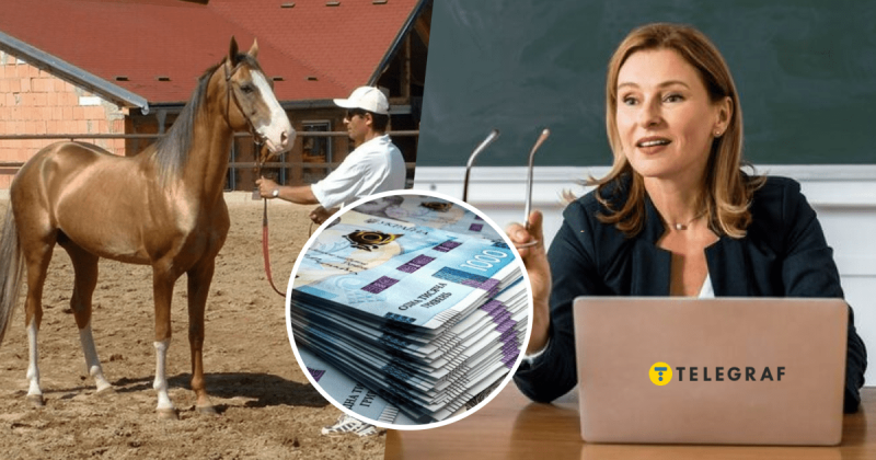 Чи вигідніше прибирати за конями, ніж навчати дітей? Яка зарплата у директорів шкіл в Україні?