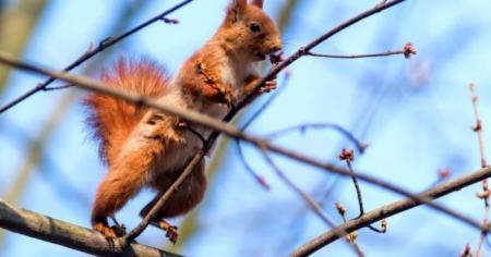 В Україні знову настане холод і сніг: метеорологи повідомили про різкі коливання в погодних умовах.