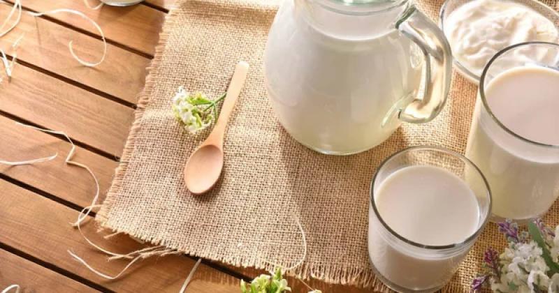 Понад 50% усієї молочної продукції в Україні було отримано аграрними підприємствами з п'яти регіонів -- Delo.ua.