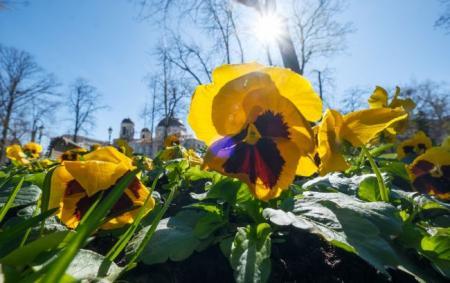 Погодні умови в Україні зазнають змін: які регіони 26 березня очікують опади, а в яких температура підніметься до +18 градусів.