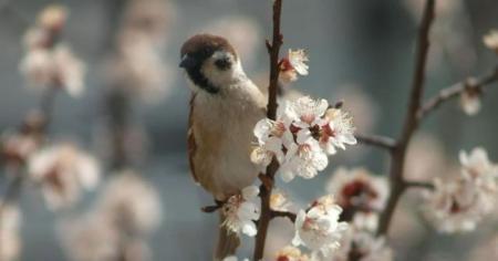 Нічні заморозки та денна температура до +19: Україна переживе погодні коливання — де очікуються найнижчі температури.